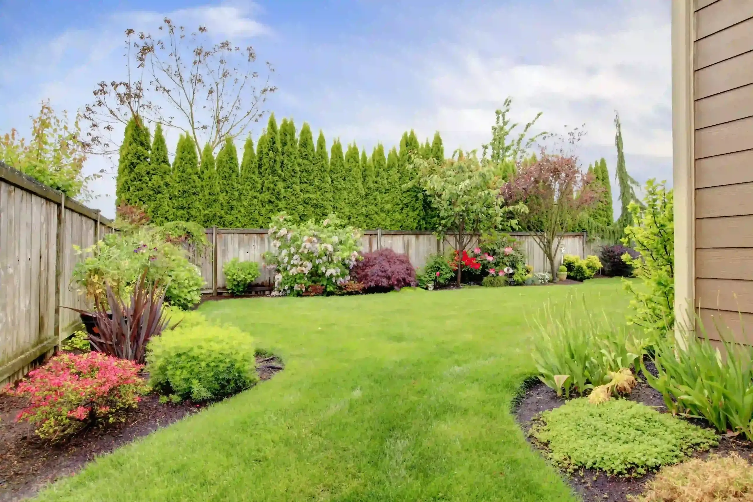 Backyard Landscape